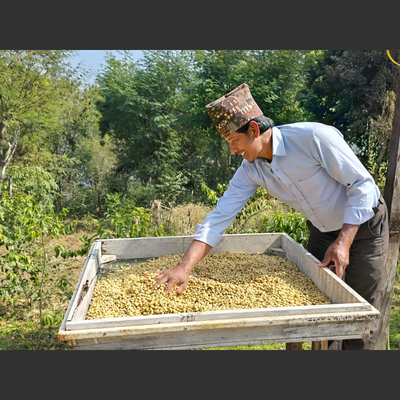 Black Yeti Coffee Nepal